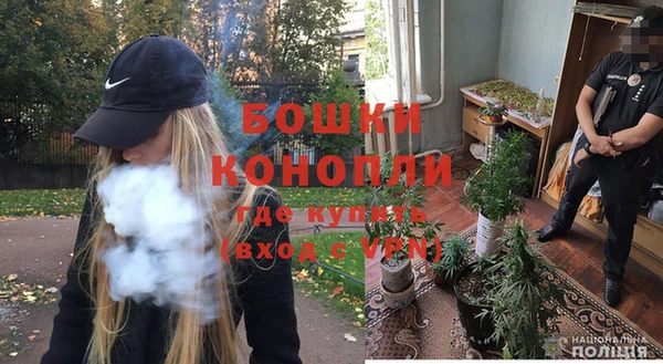 spice Бронницы
