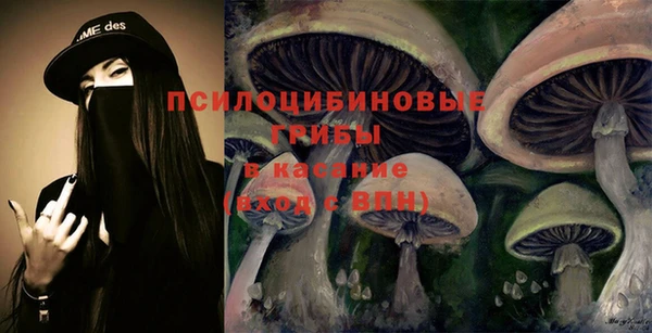 spice Бронницы