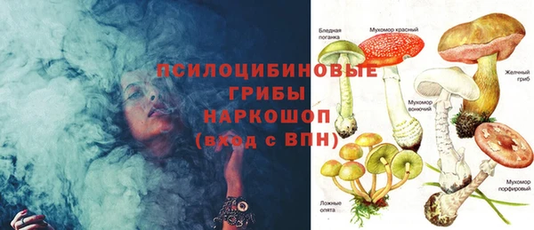 стафф Струнино